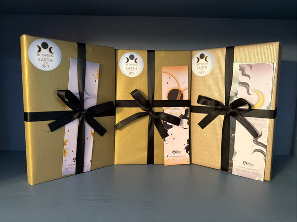 Rebecca Roanhorse - Between Earth and Sky Trilogy - Broken Binding