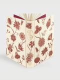 Jane Austen - The Complete Novels - Folio Society