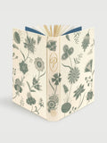 Jane Austen - The Complete Novels - Folio Society